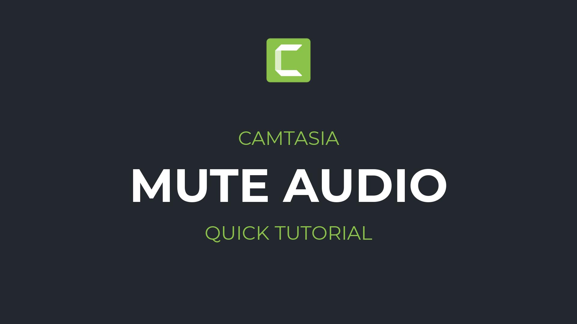 How to mute audio in Camtasia | Camtasia Silence Audio Tutorial for Absolute Beginners