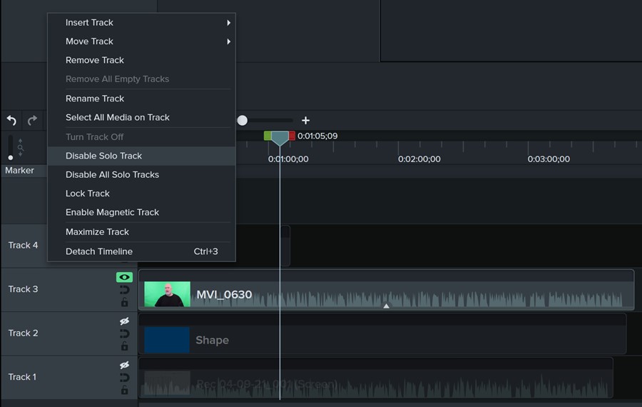 Solo track allows you to isolate and only display and edit one track, hiding all the others