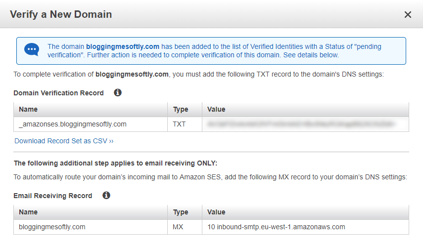 Domain verify DNS TXT records