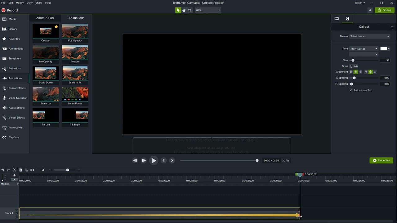 Camtasia Animations panel showing Custom animation option