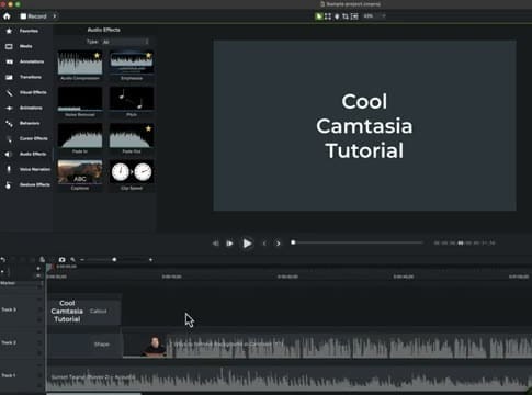 Camtasia Audio Effects panel showing Emphasize effect with timeline tracks below