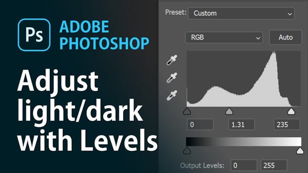 How to Adjust Levels in Photoshop: Fix Lighting, Contrast, and Colour